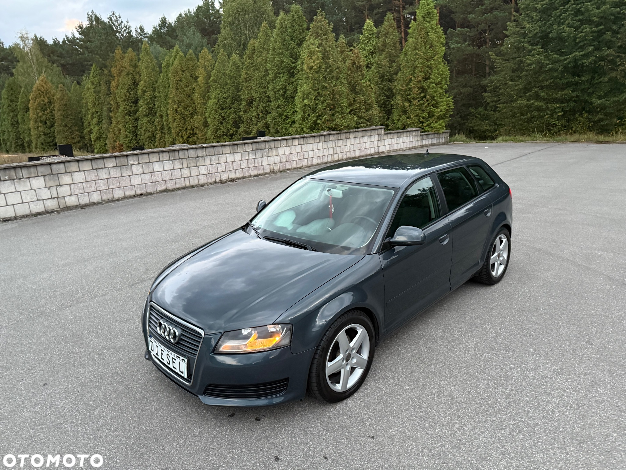 Audi A3 1.9 TDI DPF Ambition - 9