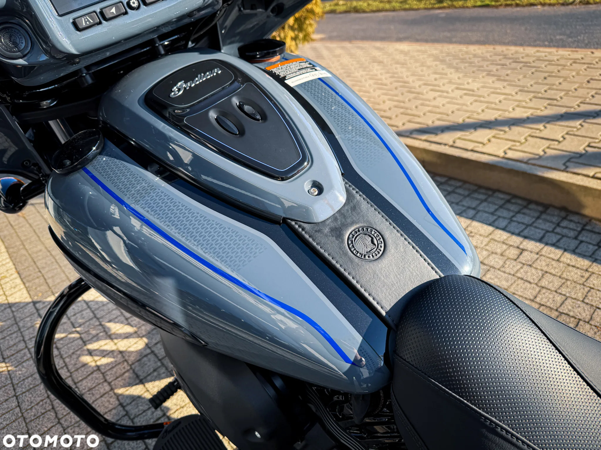 Indian Chieftain - 4