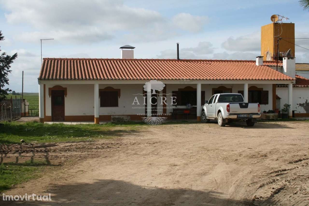 Herdade e Coudelaria Puro Sangue Lusitano - Grande imagem: 5/13