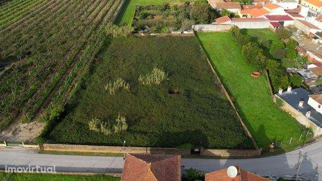 Terreno para construção multifamiliar em Anadia. - Grande imagem: 3/16