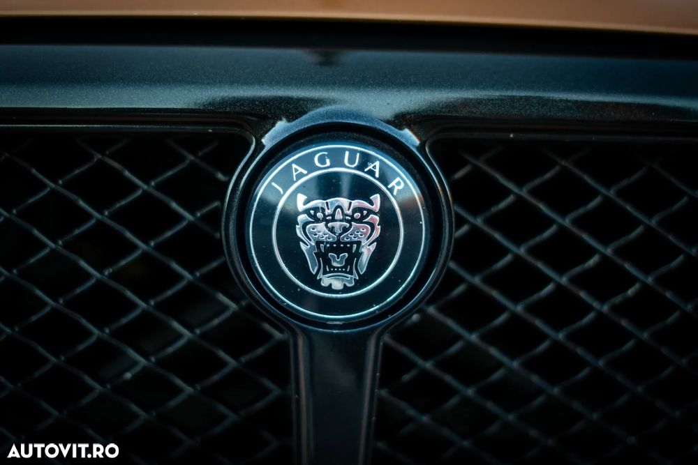 Jaguar XJ XJ8 4.2 V8 Executive Aut - 6