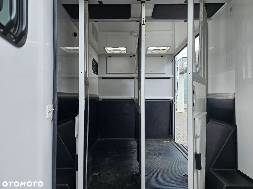 Renault Master koniowóz 170 KM automat - 18