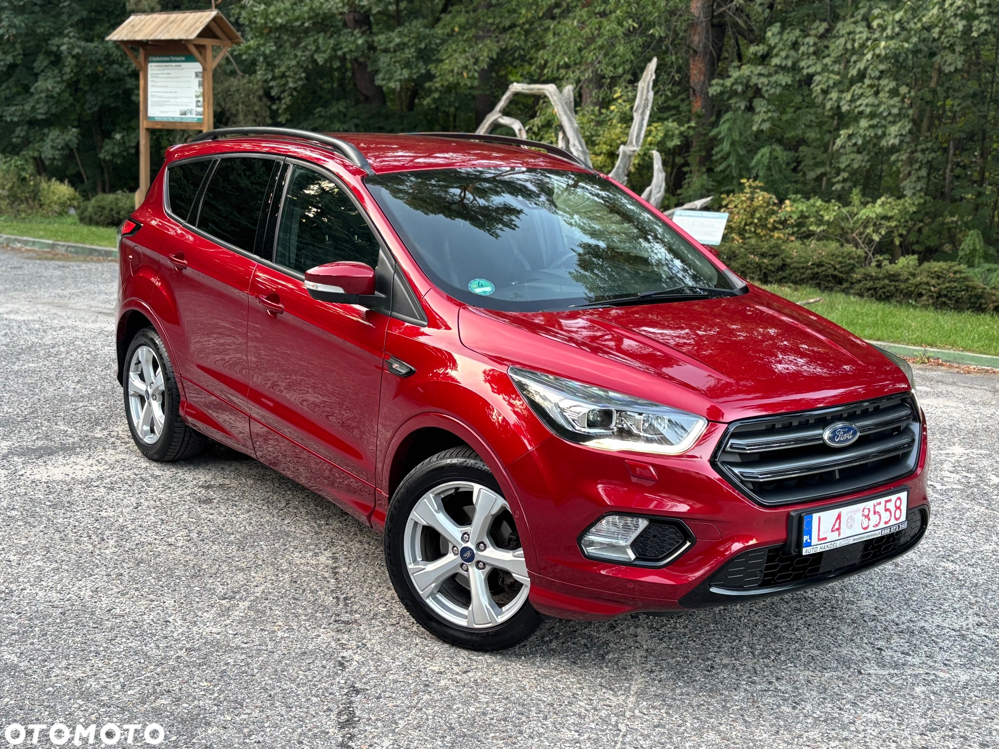 Ford Kuga - 2