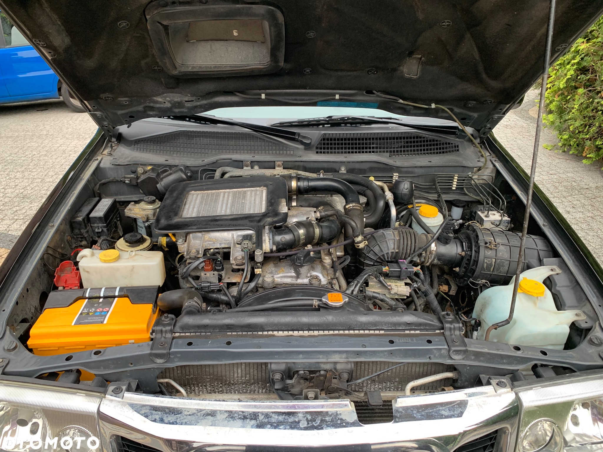 Nissan Terrano - 12