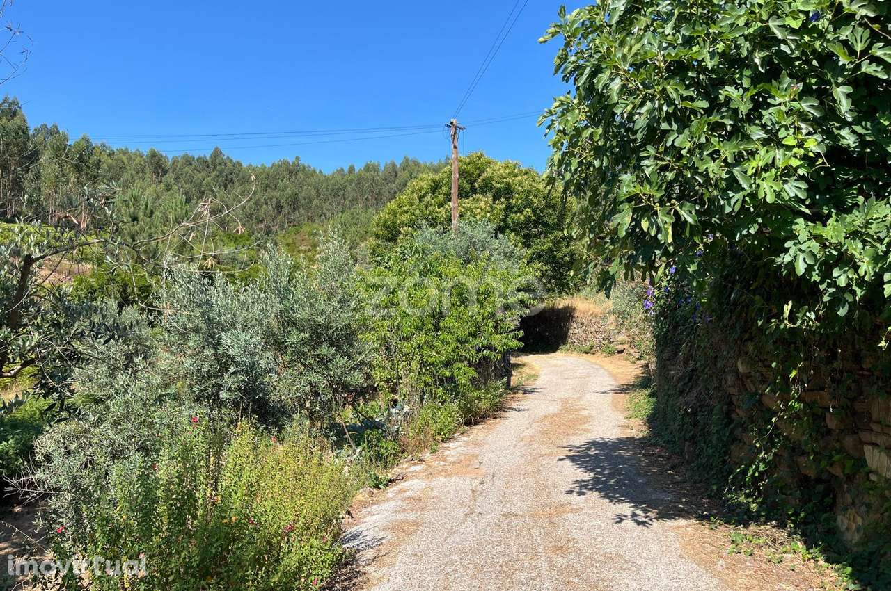 Terreno de 4992m2 com ruína em pedra na Sertã - Grande imagem: 4/17