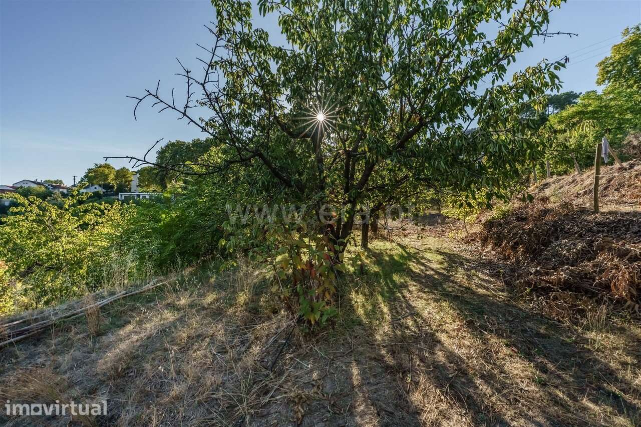 Terreno para Construção / Covilhã, Tortosendo - Grande imagem: 4/20