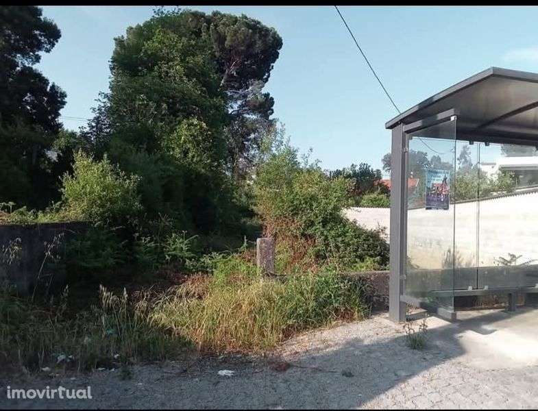 Terreno face da E.N 205(Prado/Barcelos) 3.200m2 - Grande imagem: 2/5