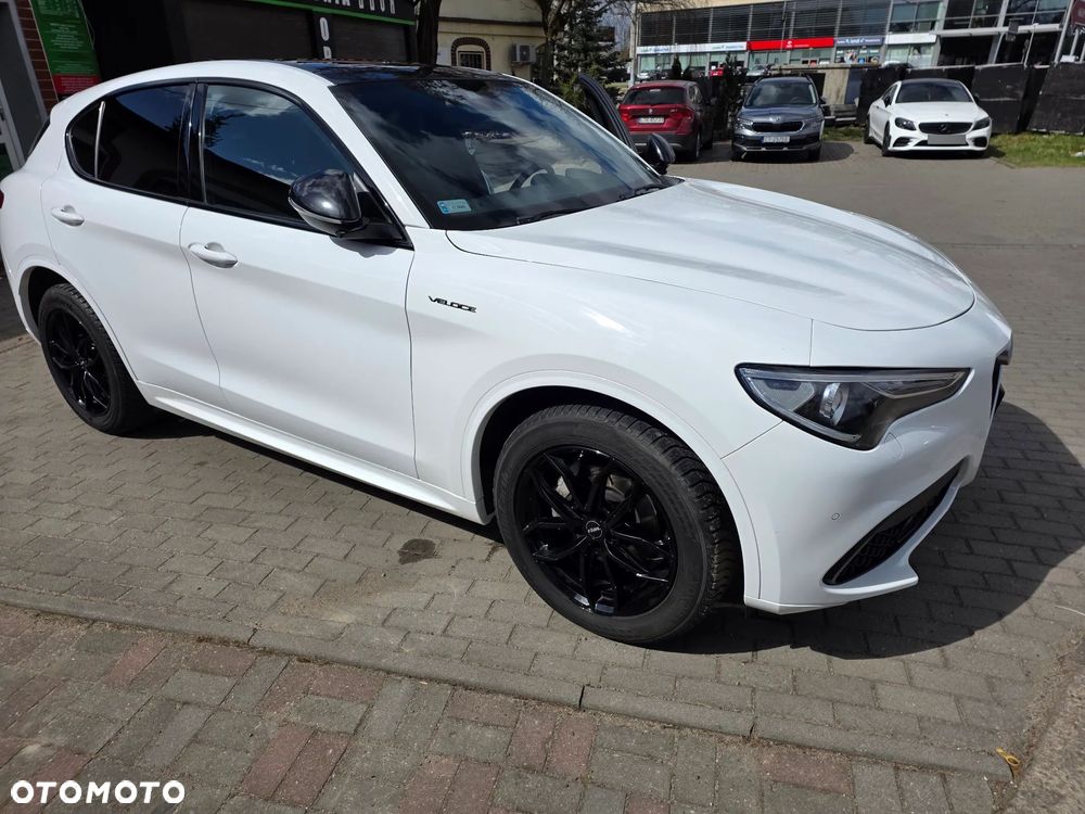 Alfa Romeo Stelvio 2.0 Turbo Veloce Q4 - 2