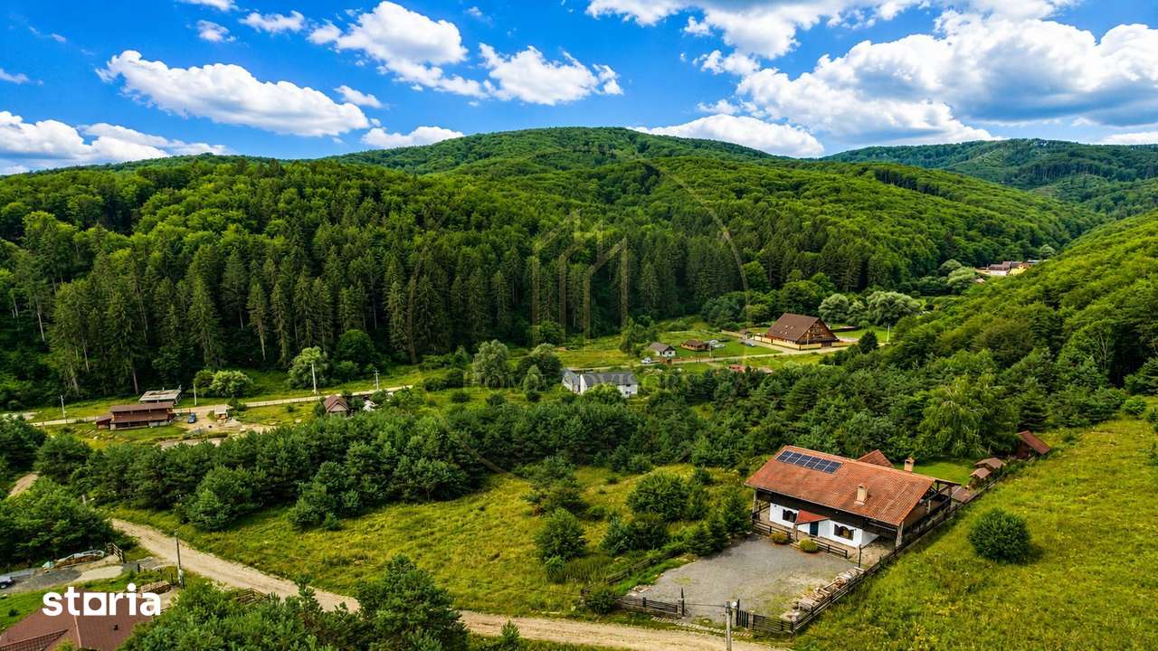 Refugiu în inima naturii | Proprietate premium în Pădurea Bogății - Imagine principală: 2/10