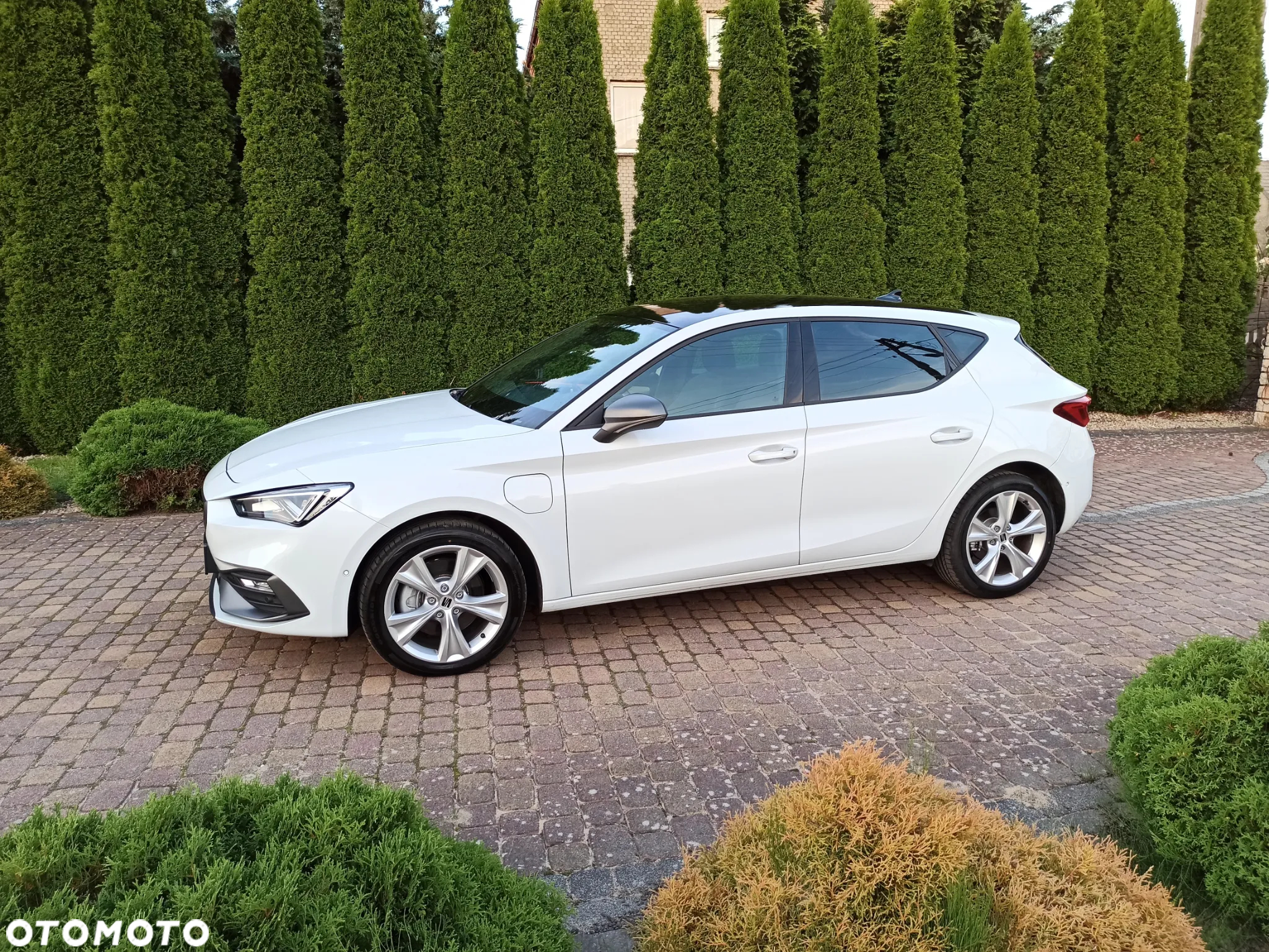Seat Leon 1.4 eHybrid FR DSG - 3