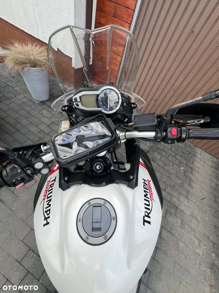 Triumph Tiger - 5
