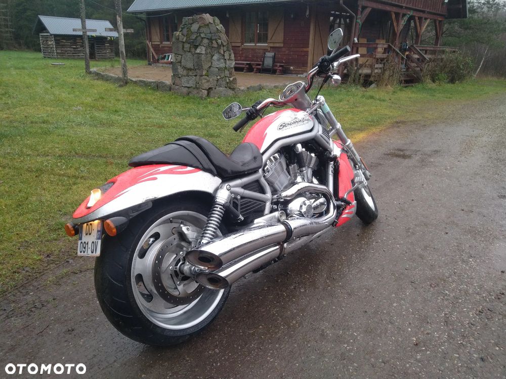 Harley-Davidson Softail V-Rod - 2