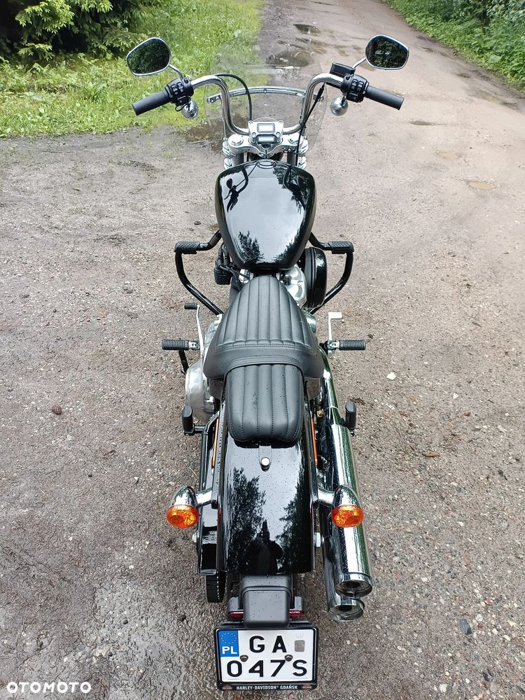 Harley-Davidson Softail Standard - 6