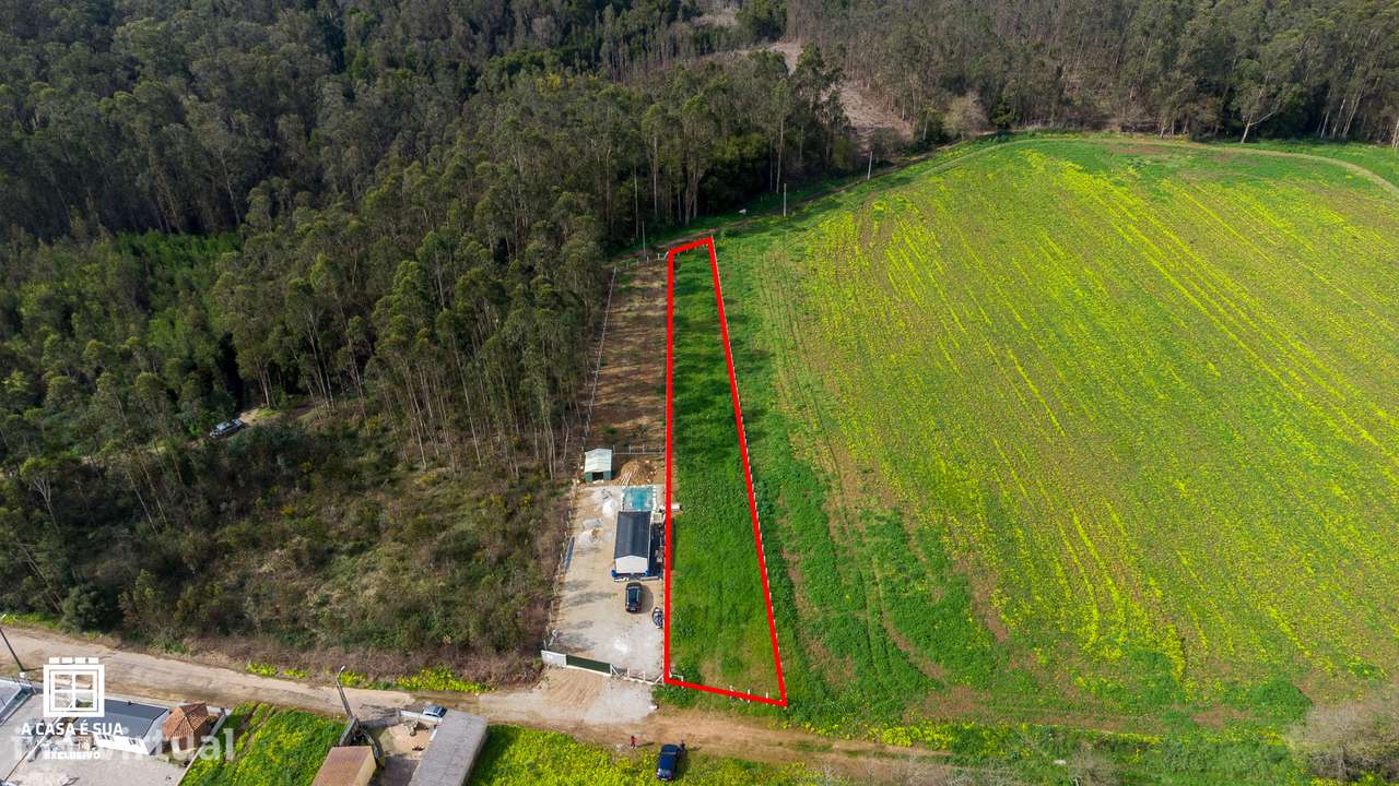 Terreno com 1.150 m2 para cultivo em São João de Ovar - Grande imagem: 4/11