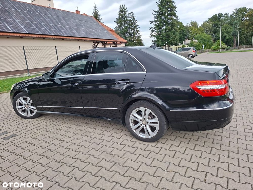 Mercedes-Benz Klasa E 220 CDI BlueEff Elegance - 11