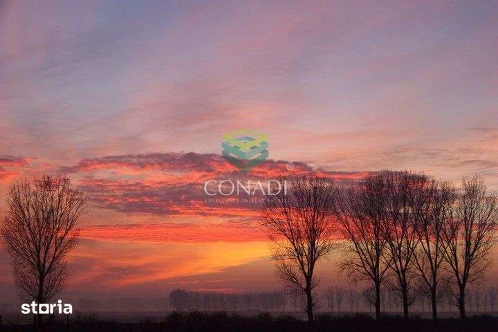 Oportunitate investitionala | Ferma piscicola 233 ha | Calarasi - Imagine principală: 2/11