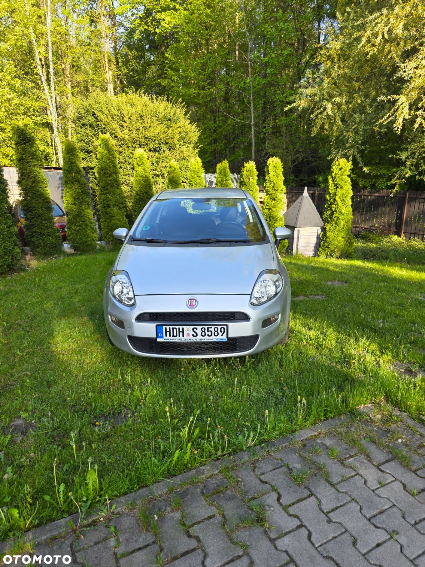 Fiat Punto - 8