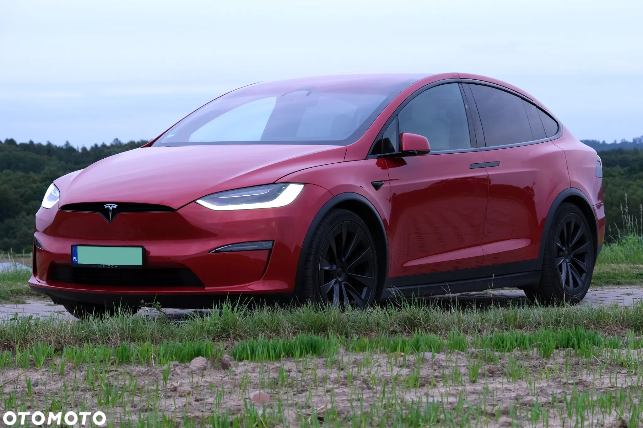 Tesla Model X Plaid - 6