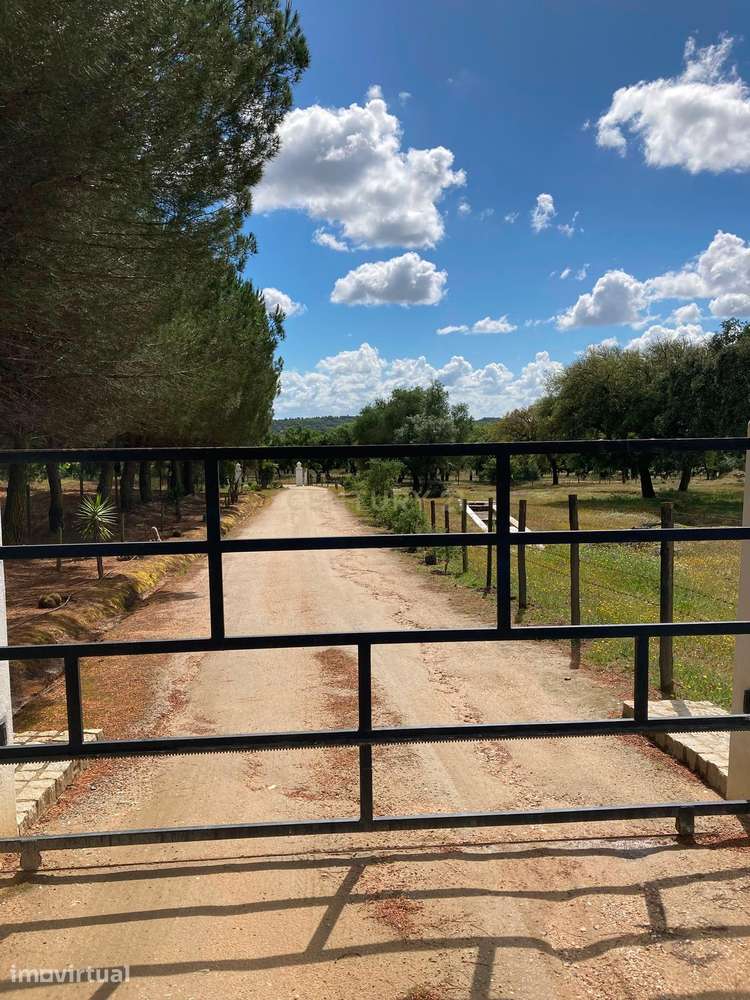 Herdade da Pedra Longa — Um Património Único no Coração do Alentejo - Grande imagem: 3/56