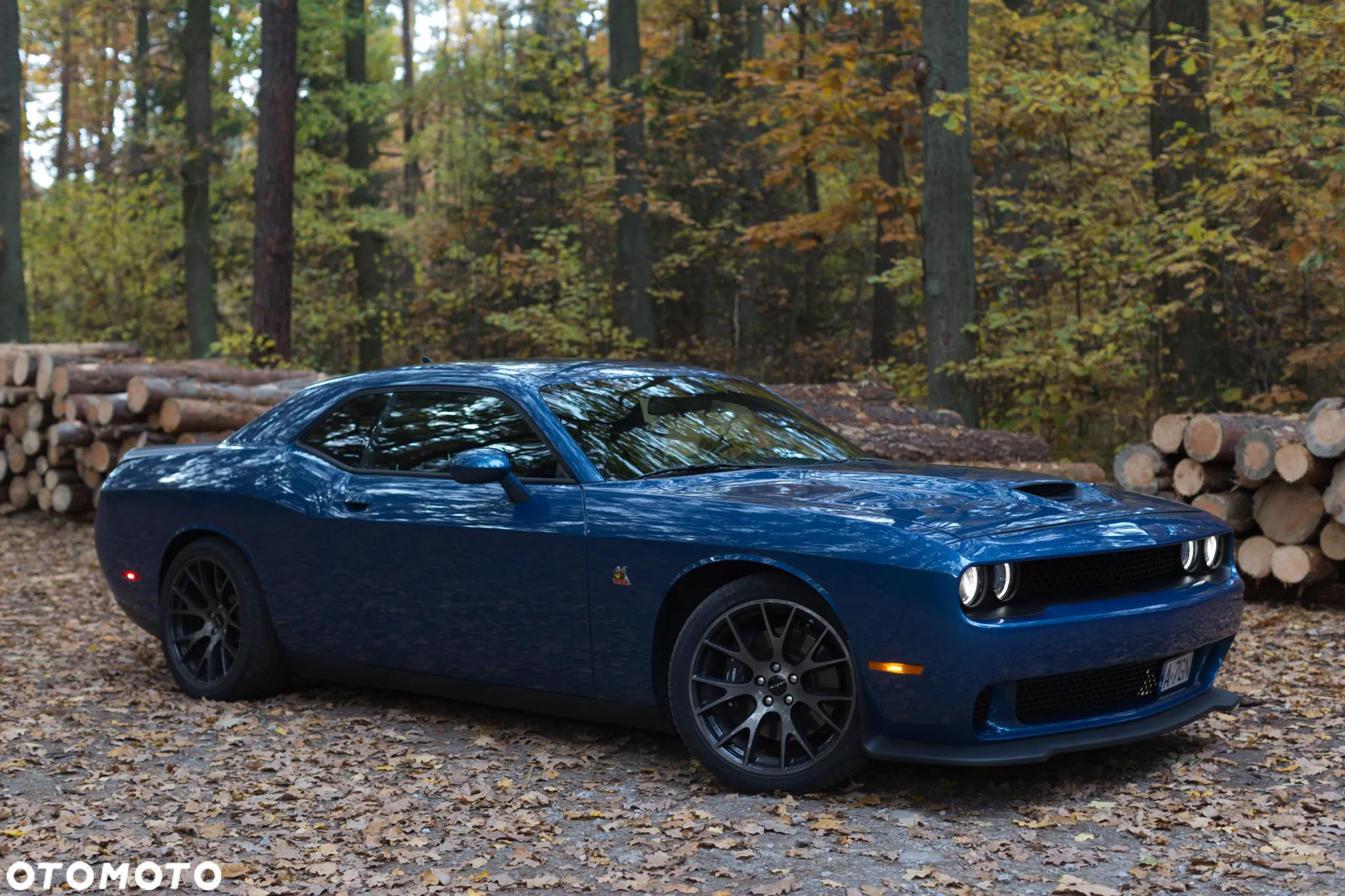 Dodge Challenger - 16