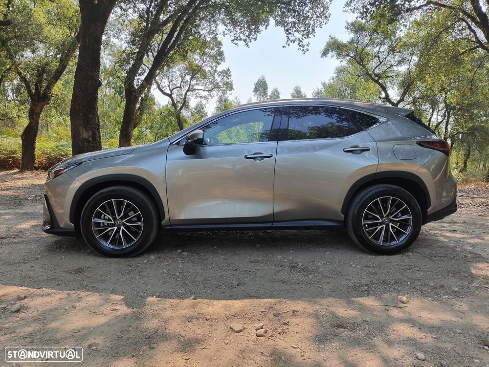 Lexus NX 450h+ Executive - 9