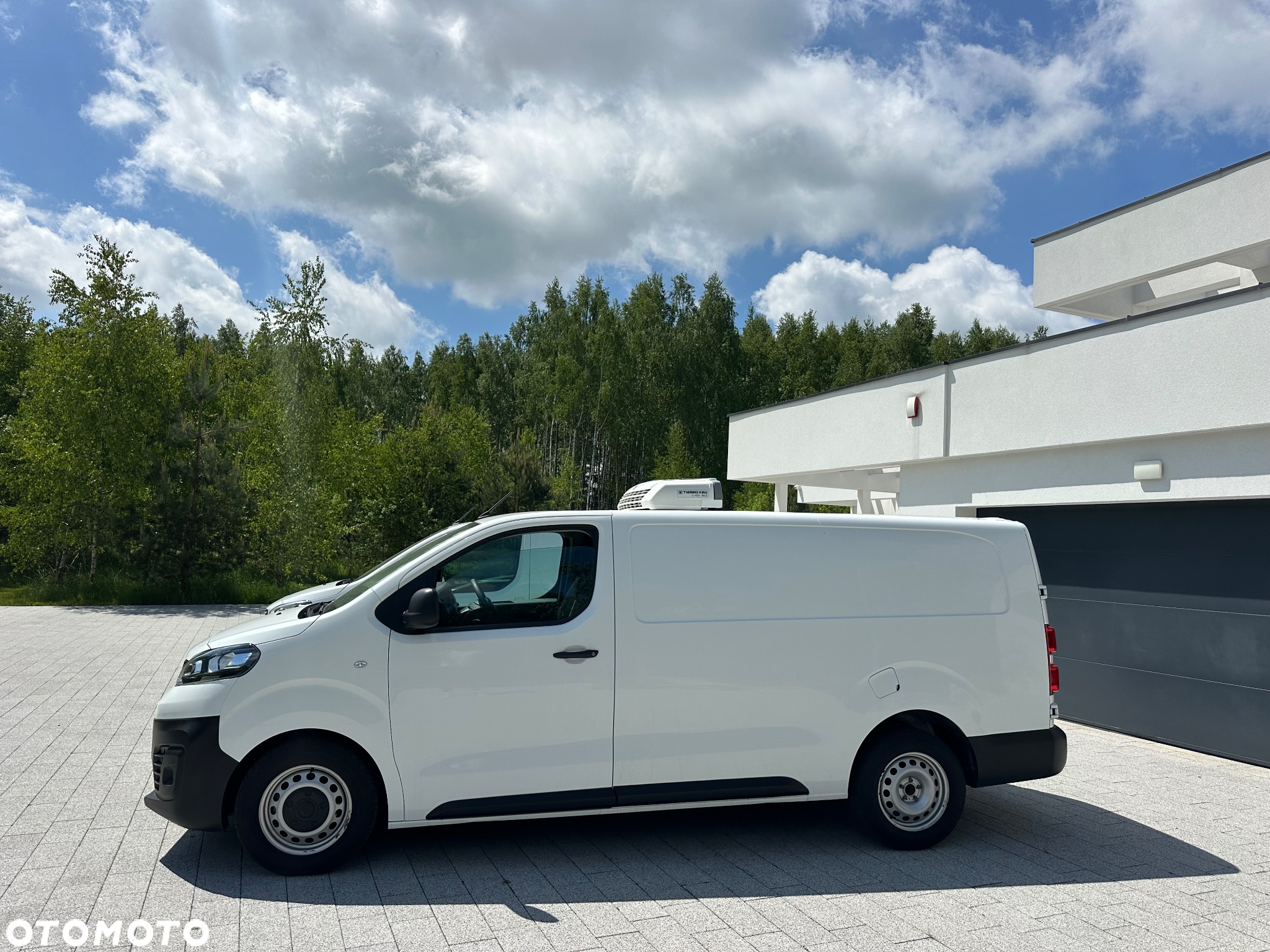Peugeot Expert 2.0 diesel / chlodnia / mroznia / zanotti / long - 11
