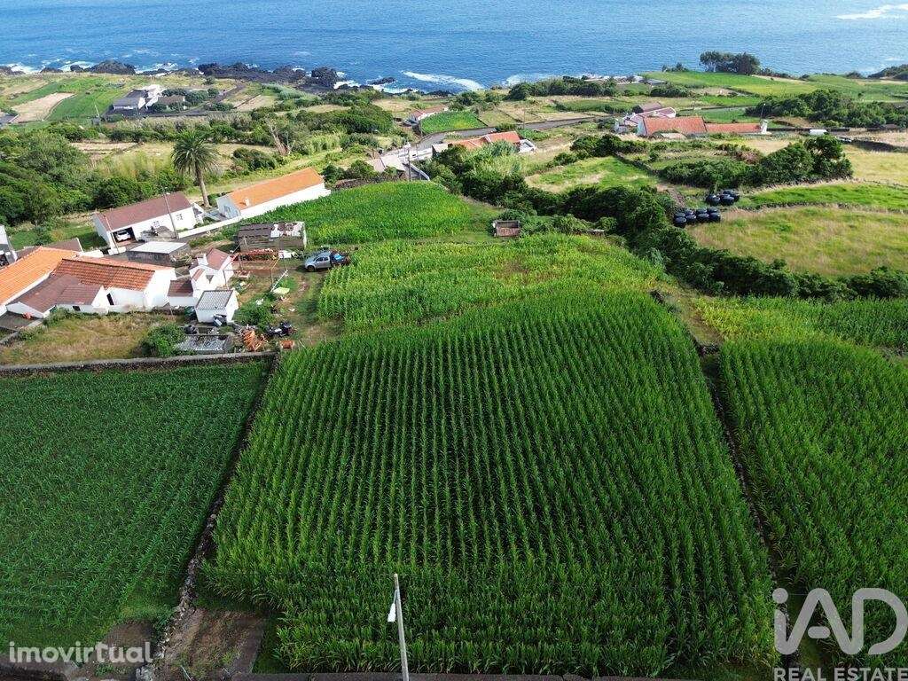Terreno Agrícola em Ribeiras - Grande imagem: 2/19