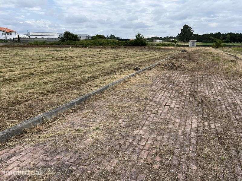 Terreno Volta da Tocha - Grande imagem: 2/12