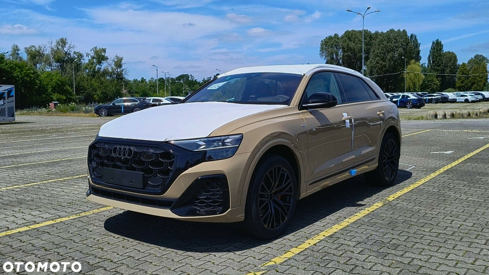 Audi Q8 - 6