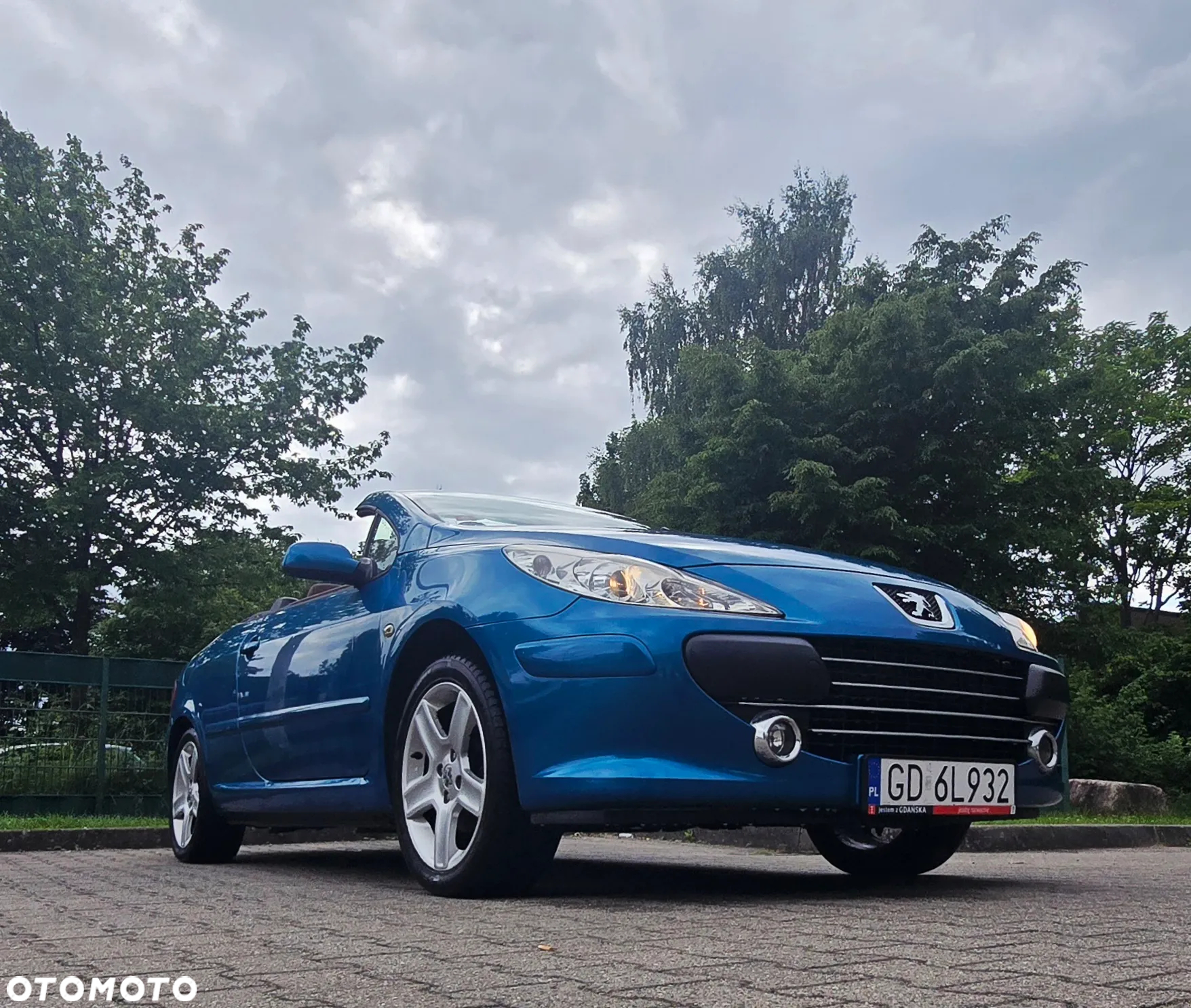Peugeot 307 CC 140 JBL - 2