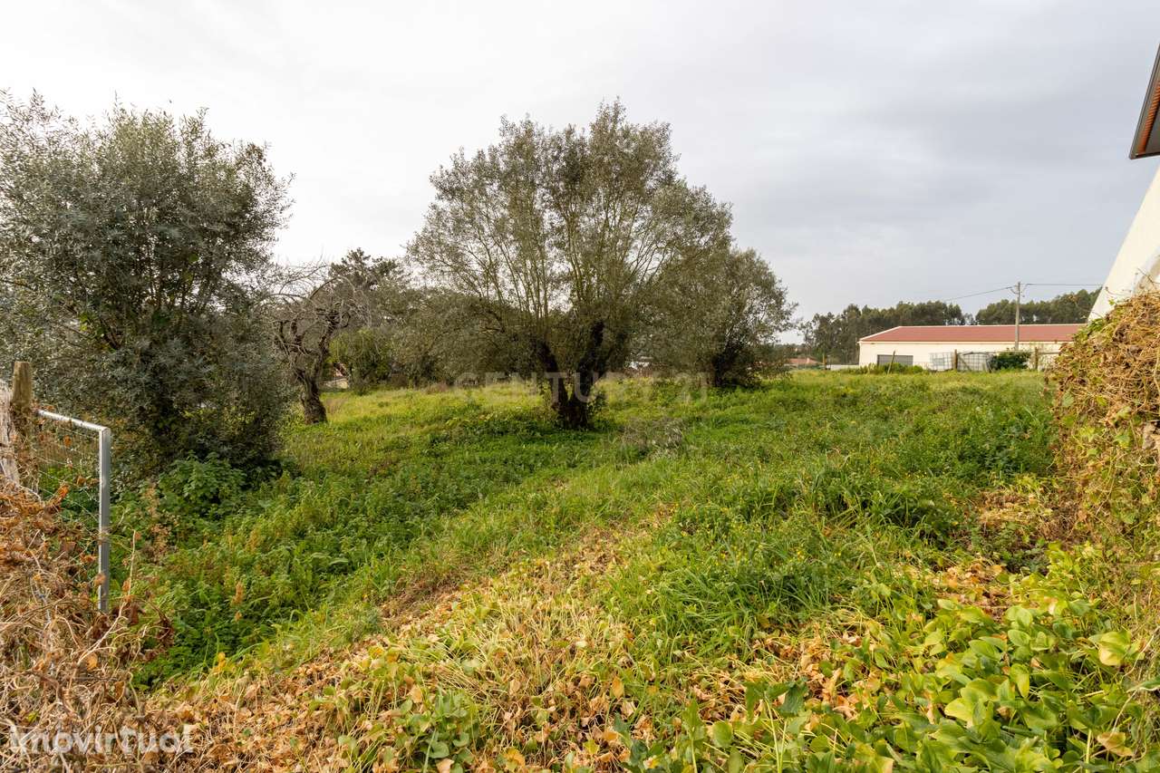 Terreno Urbano || Andrinos || Leiria - Grande imagem: 3/5