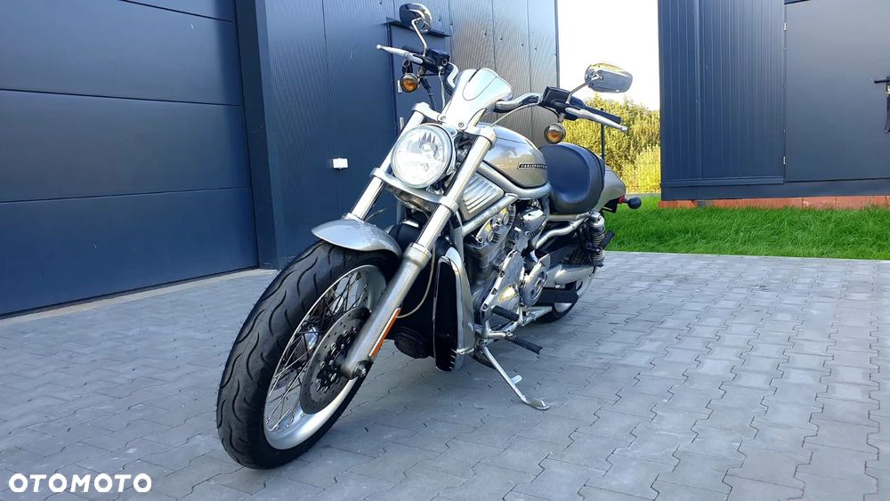 Harley-Davidson Softail V-Rod - 4