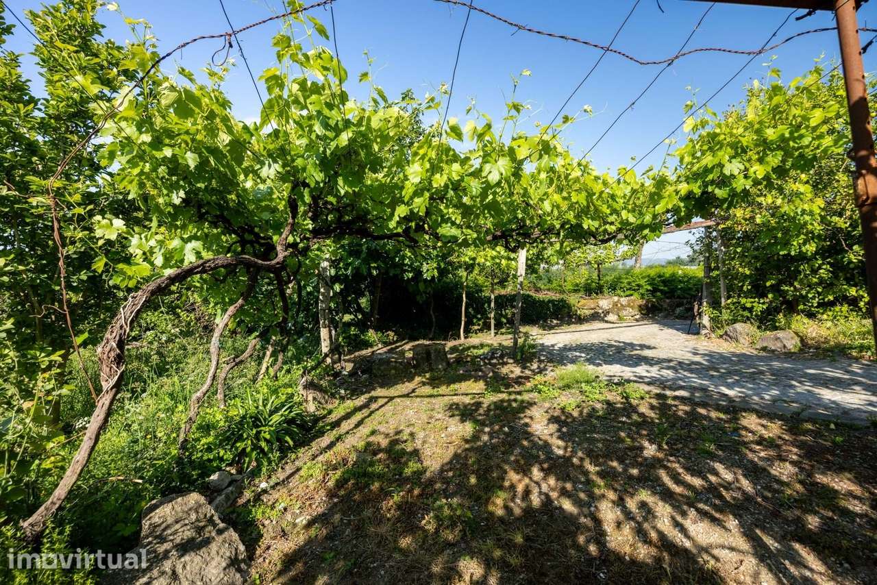 Quinta Tradicional com Vista de Campo em Penafiel - Grande imagem: 3/22