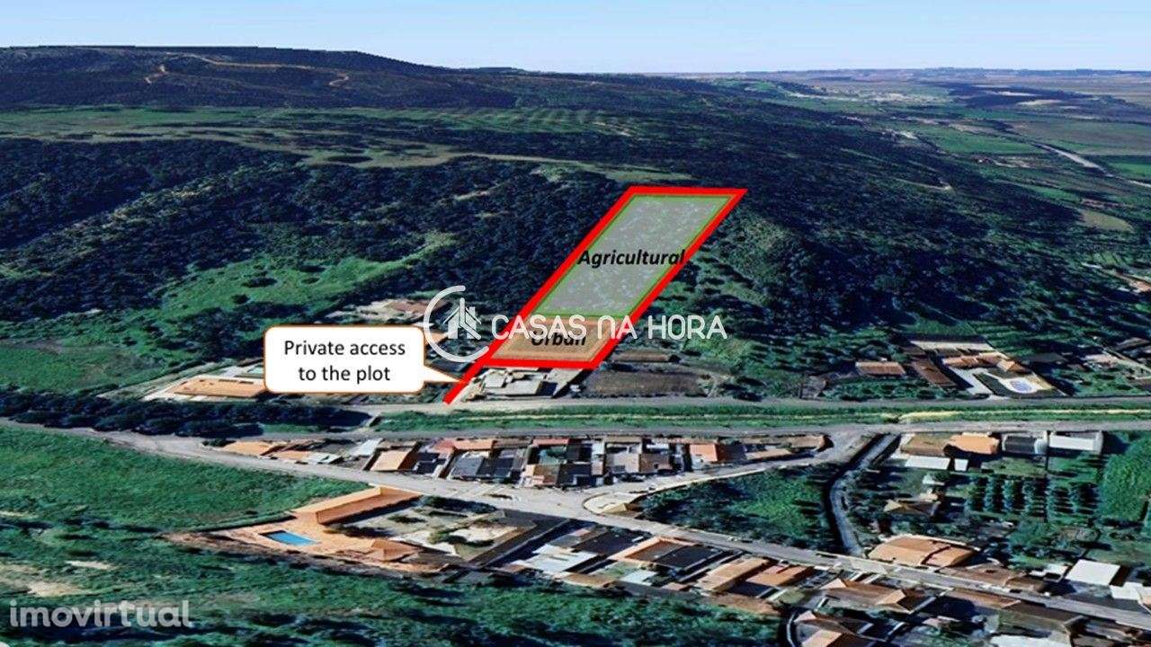 Lote para moradia perto da Vila da Golegã - Grande imagem: 5/8