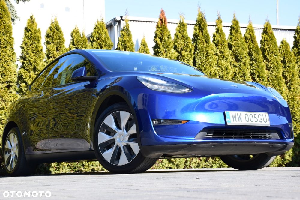 Tesla Y - 19