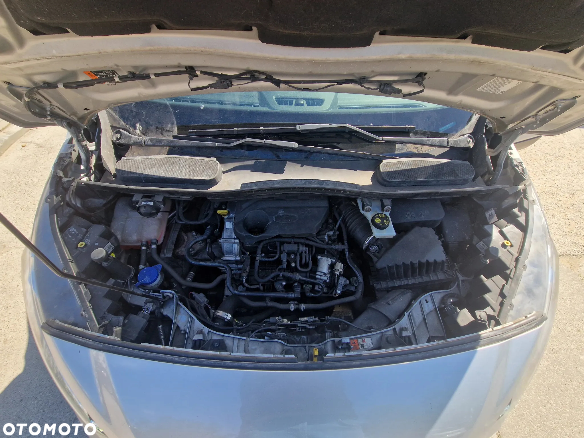 Ford Transit Connect - 11