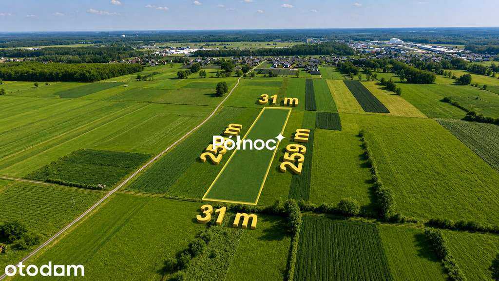 Łąka 8000m2 w  Małaszewiczach Dużych - Pełny obrazek: 2/6