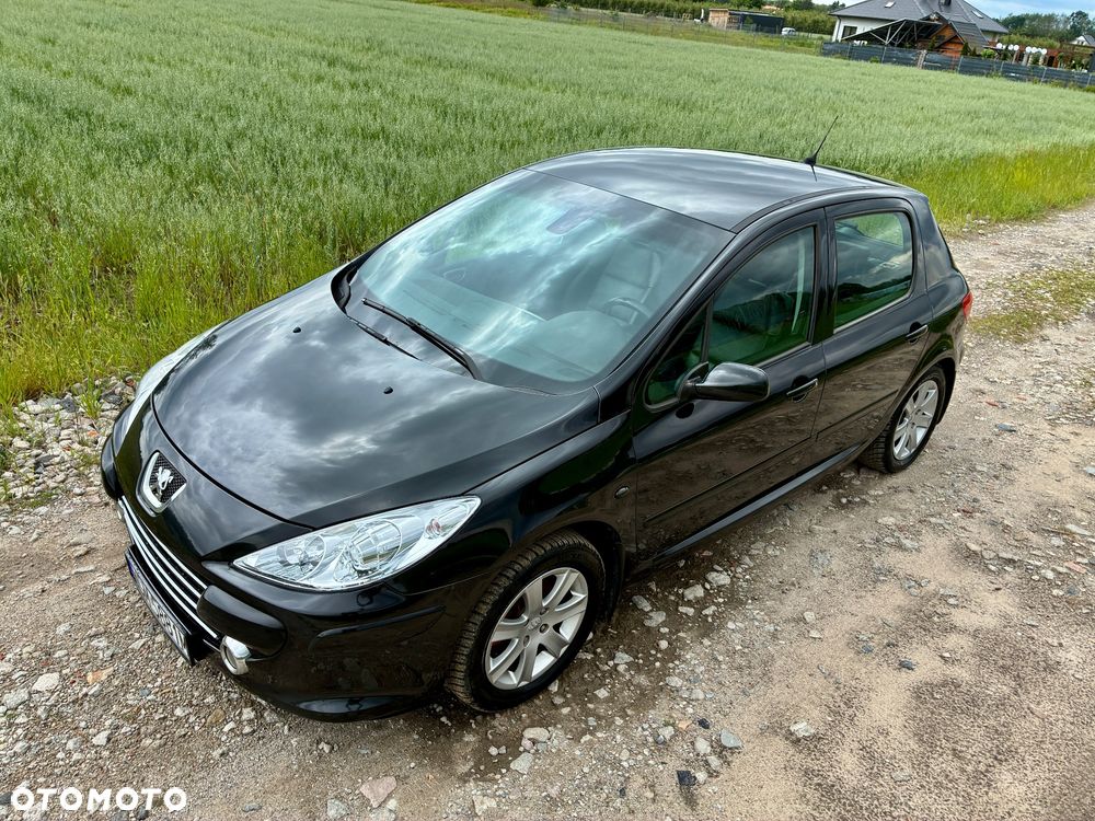 Peugeot 307 - 12
