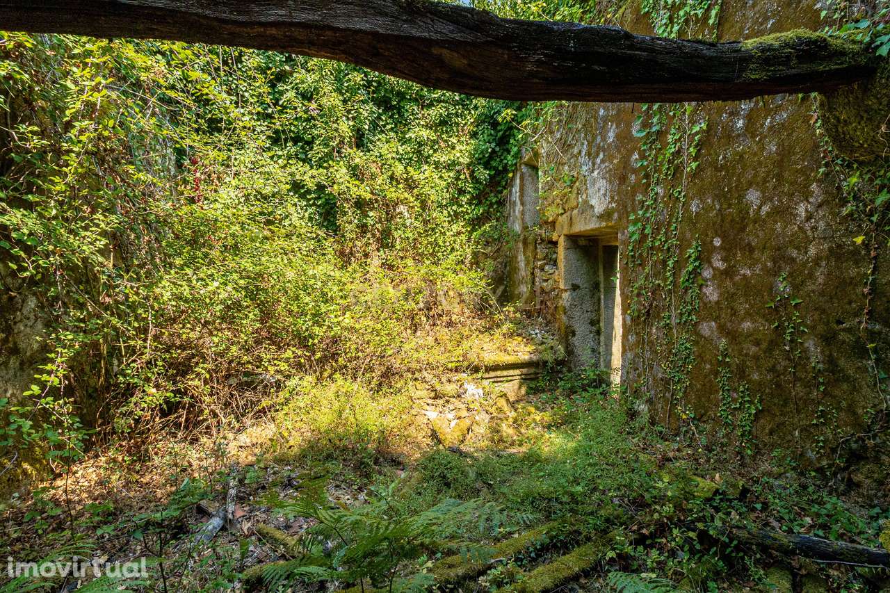 Quinta em Anais, Ponte de Lima – Oportunidade Única de Investimento Ru - Grande imagem: 5/23