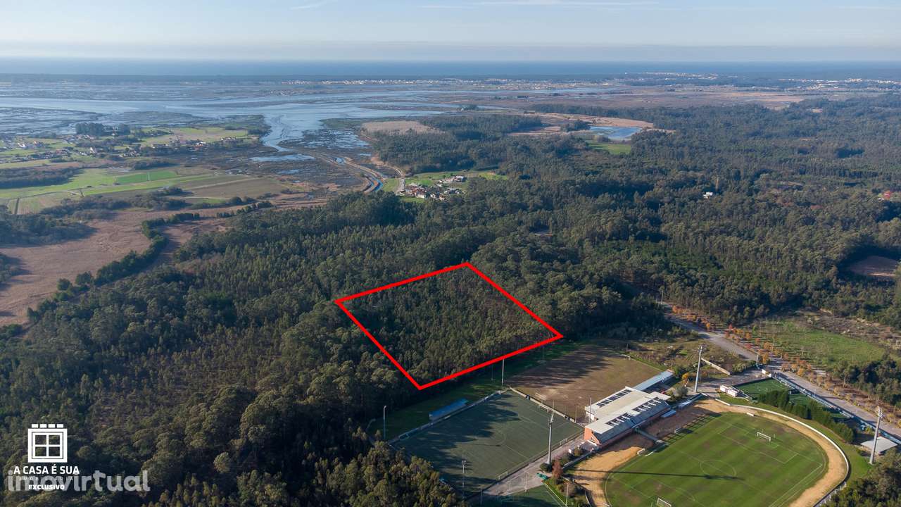 Terreno rústico com 17.800 m² em Avanca - Exclusivo - Grande imagem: 5/14