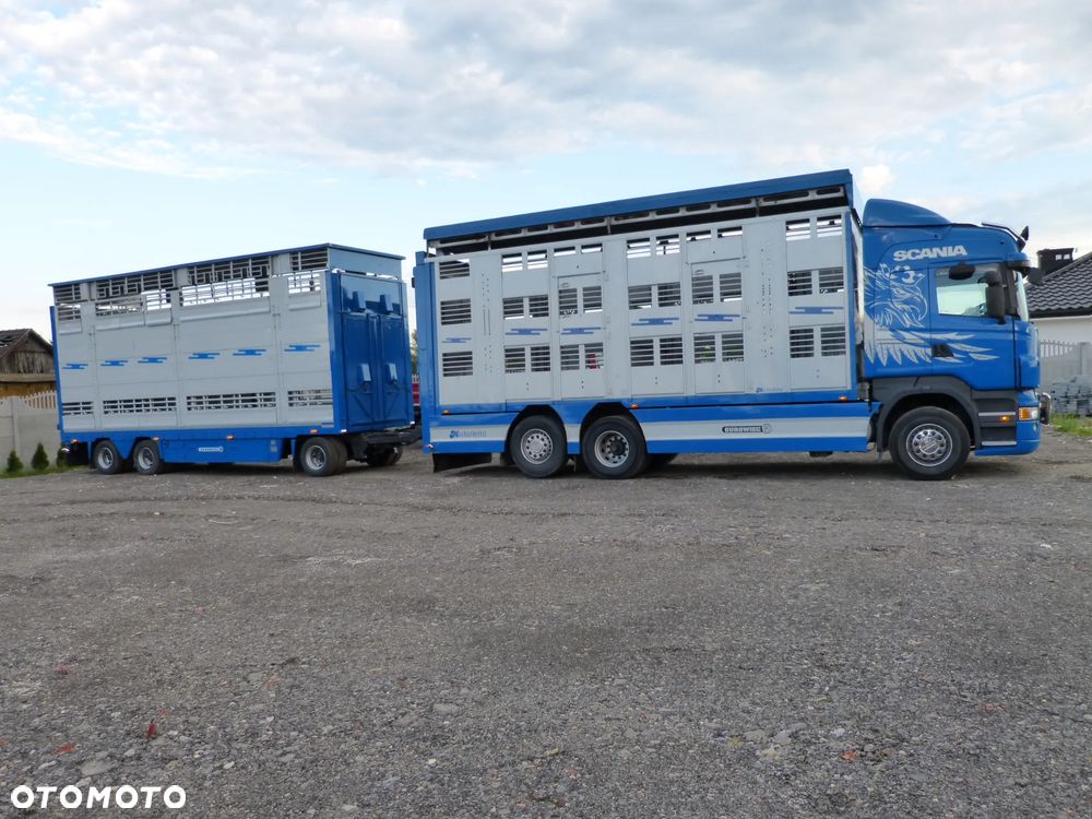 Scania R420 + PRZYCZEPA PEZZAIOLI / ZESTAW DO ŻYWCA, ZWIERZĄT, BYDŁA, TRZODY - 26