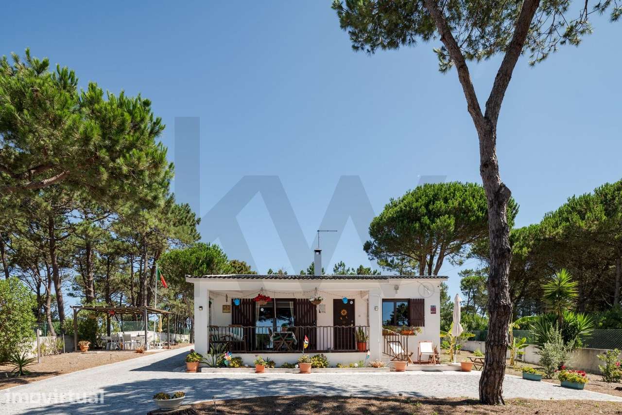Refúgio Exclusivo no Pinhal das Azenhas do Mar| 2.400 m2 |  800 m da - Grande imagem: 3/39