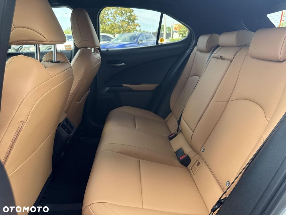 Lexus UX 250h GPF F Sport Design 2WD - 21