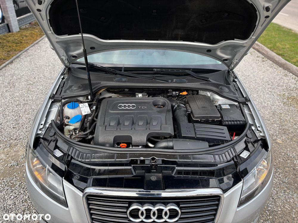 Audi A3 3-drzwiowe - 16