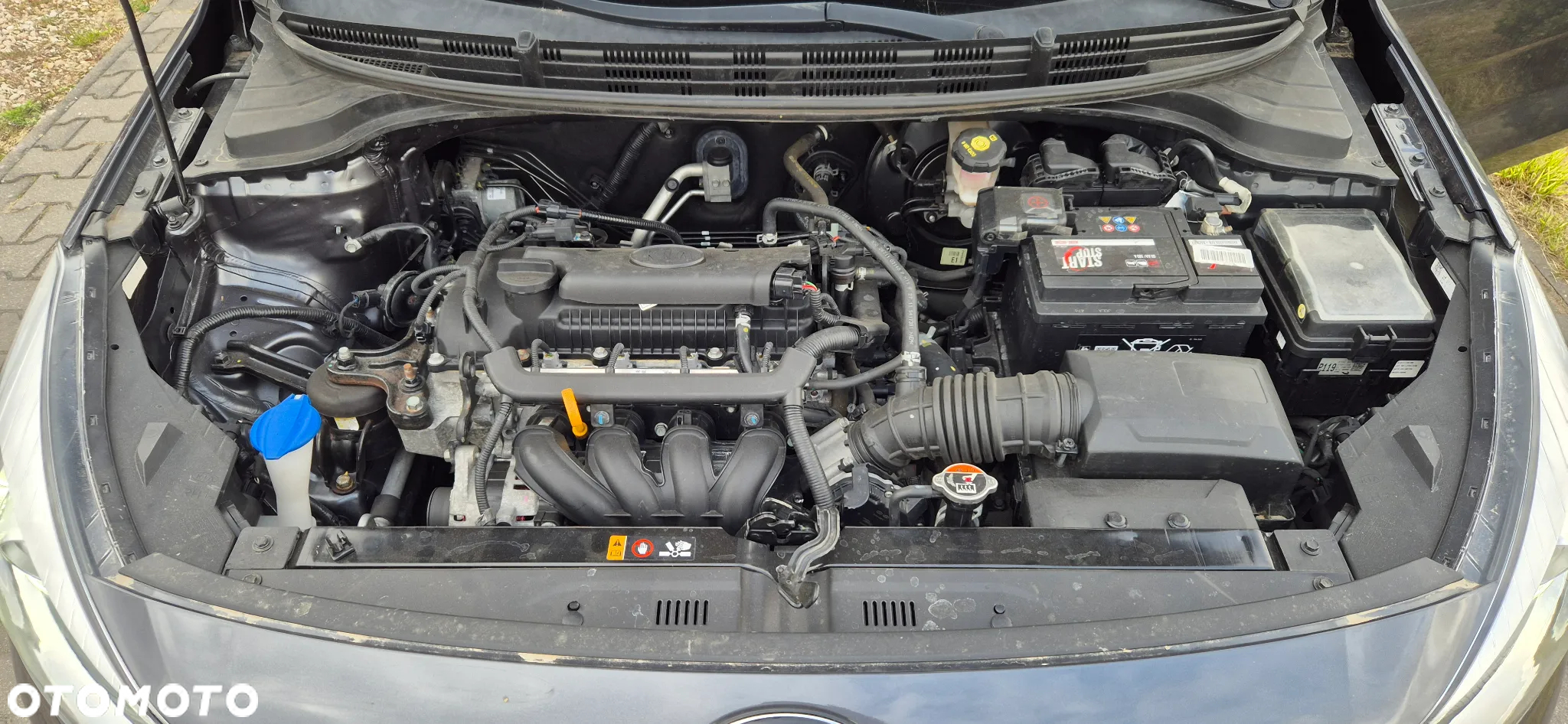Kia Rio 1.4 L - 25