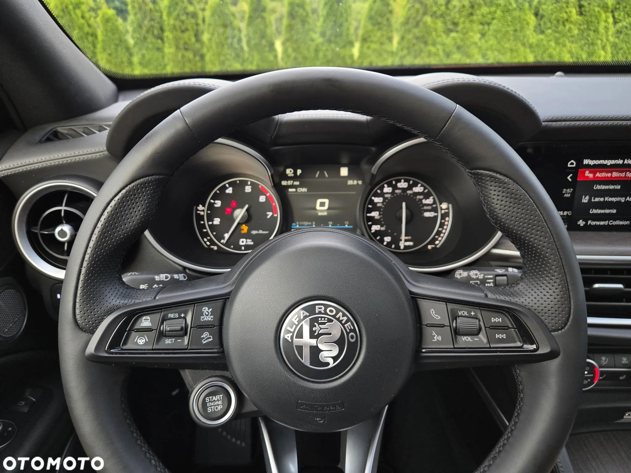Alfa Romeo Stelvio 2.0 Turbo 16V AT8-Q4 Ti - 36