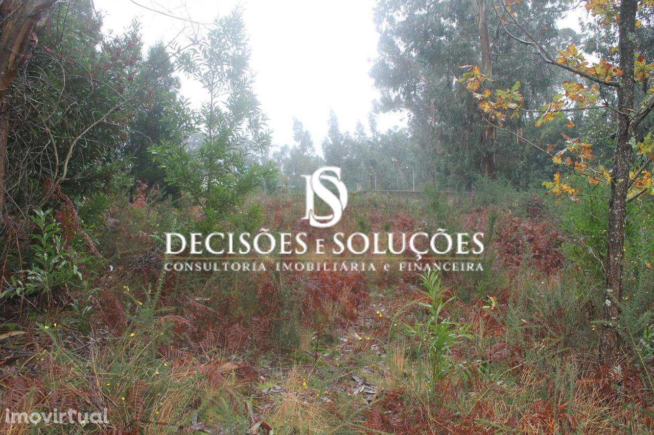 Terreno  Venda em Carvalhosa,Paços de Ferreira - Grande imagem: 4/8