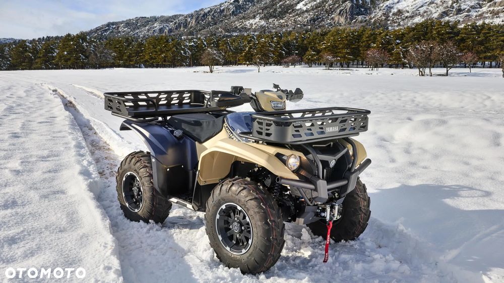 Yamaha Kodiak - 1