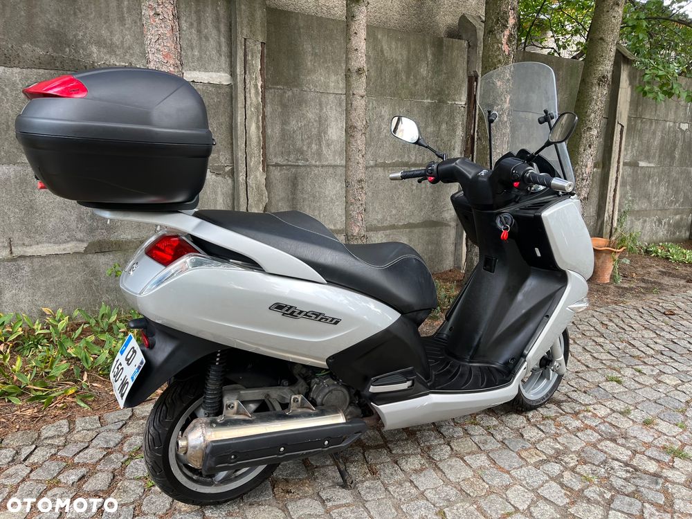 Peugeot Citystar - 8