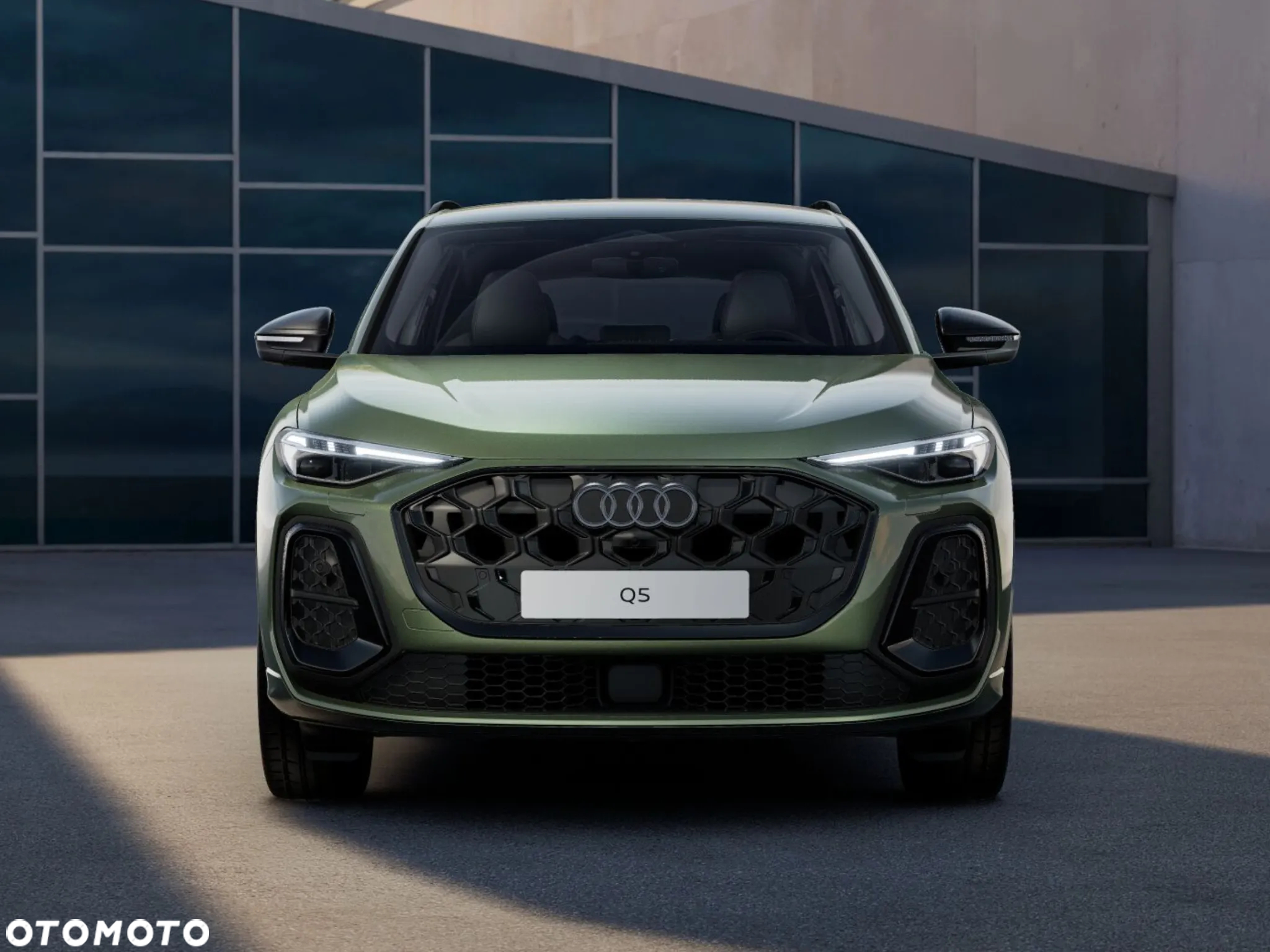 Audi Q5 - 5